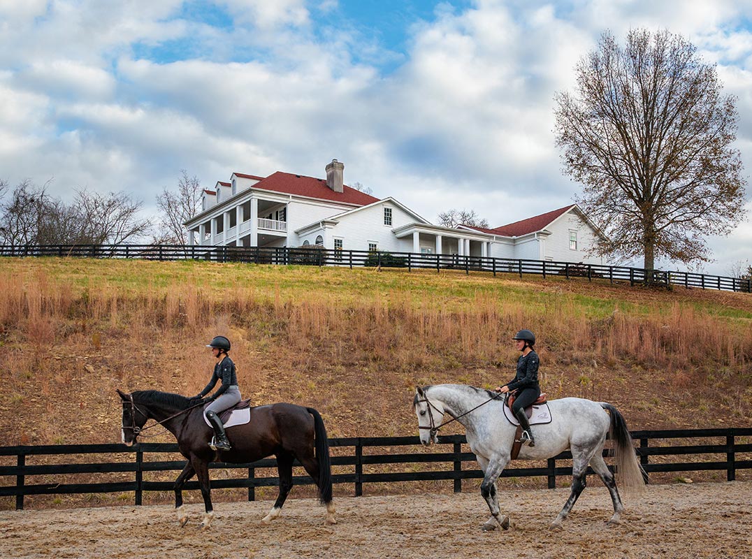 Equestrian Property in College Grove